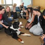 CANINE STRESS BUSTERS AT BUCKS COUNTY COMMUNITY COLLEGE