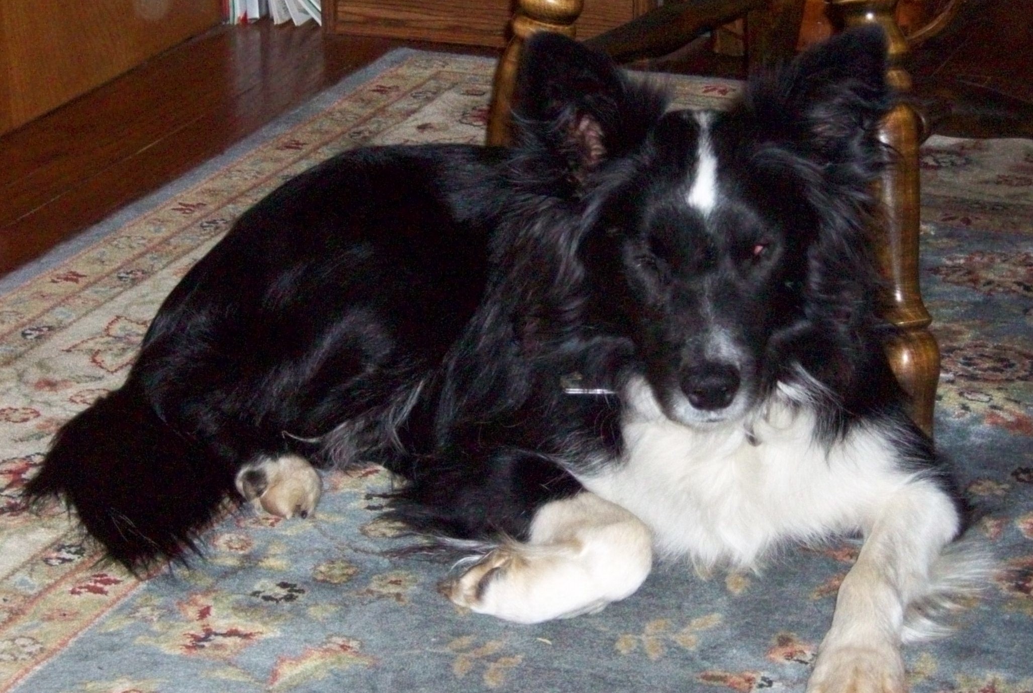 Casey