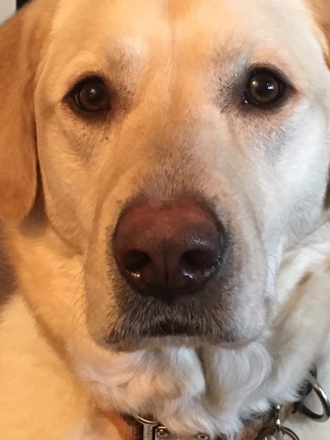 Tex3